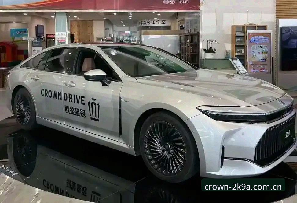 为什么皇冠核心服务能成为2025年行业新标杆？
